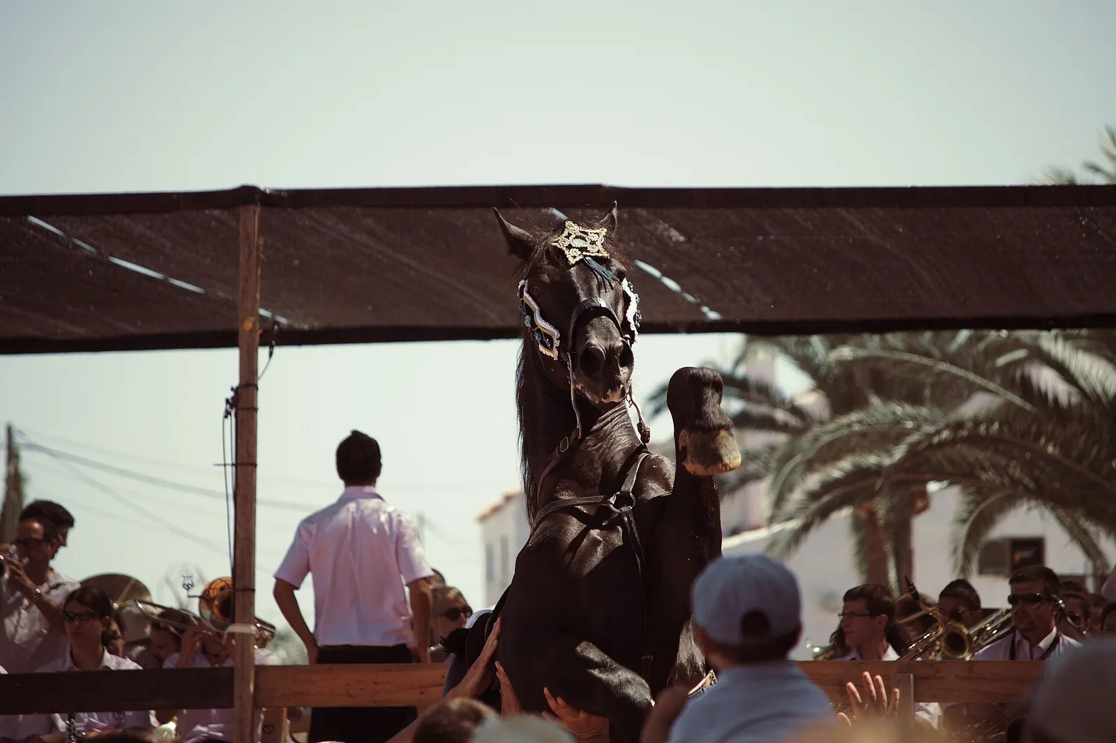 Festes de Sant Climent