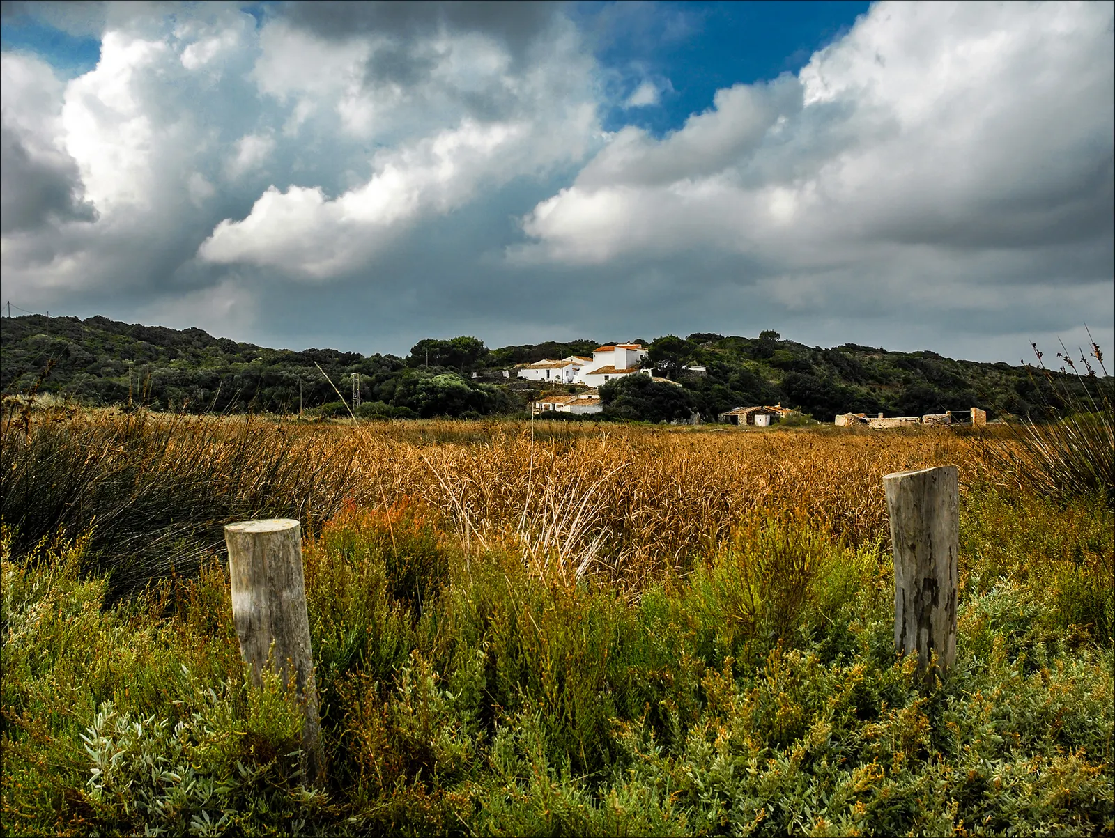 la laguna del Parc Natural de s'Albufera des Grau, núcleo de la Reserva de Biosfera de Menorca
