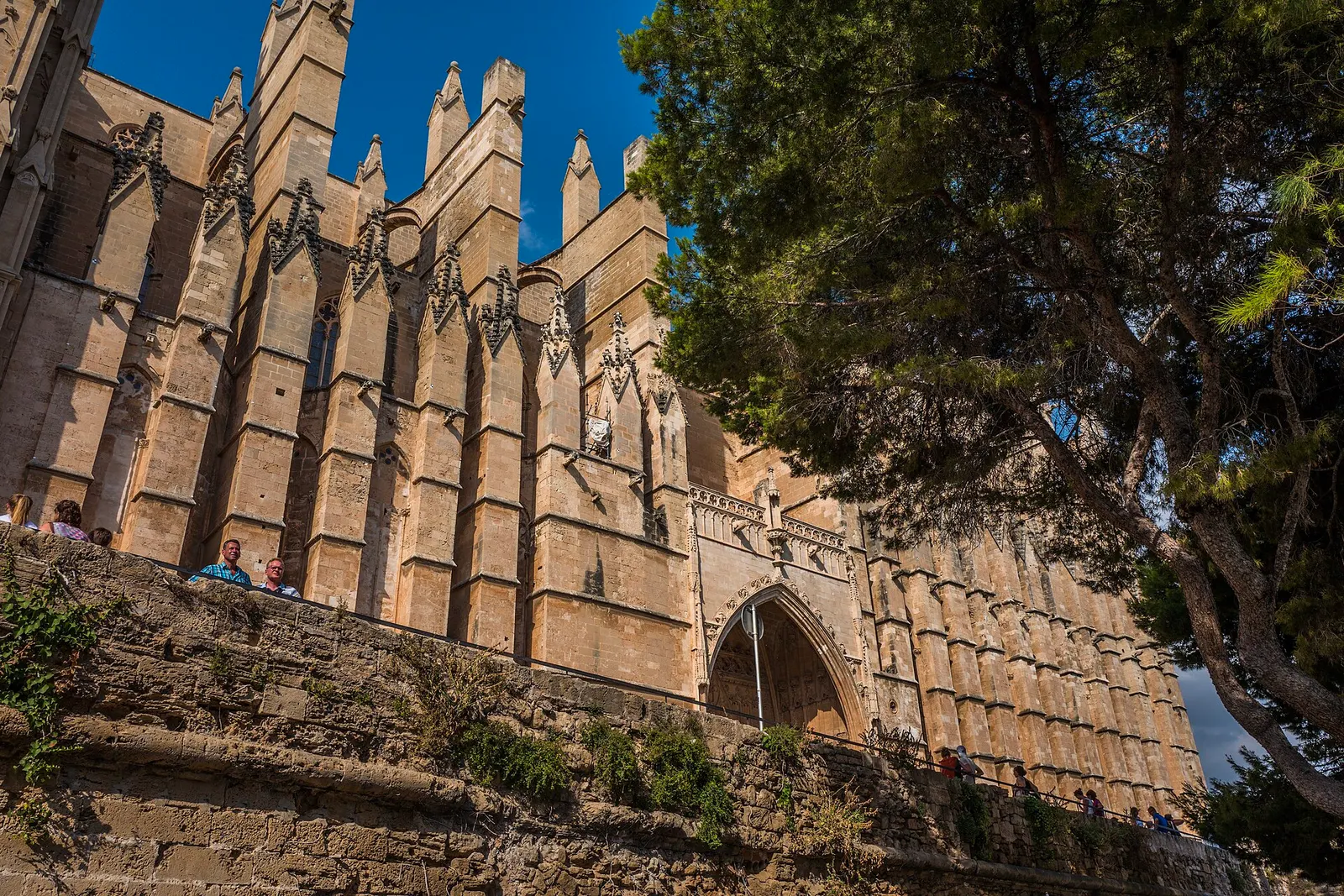 La Catedral de Mallorca, con su fachada gótica de arenisca dorada sobre el paseo y el mar de Palma