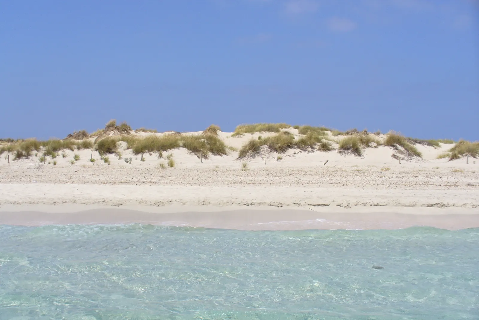 La playa de s'Alga, en s'Espalmador, vista desde el agua: dunas con vegetación baja, una franja de arena blanca y agua turquesa transparente en primer plano.