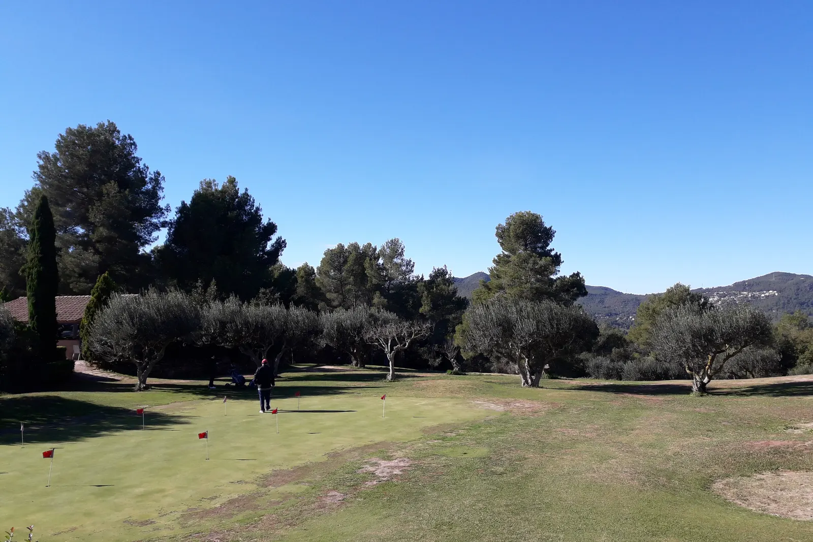 Imagen ilustrativa de otro campo de golf: una calle entre pinos y olivos, con colinas al fondo bajo el cielo azul. No es Golf Ibiza.