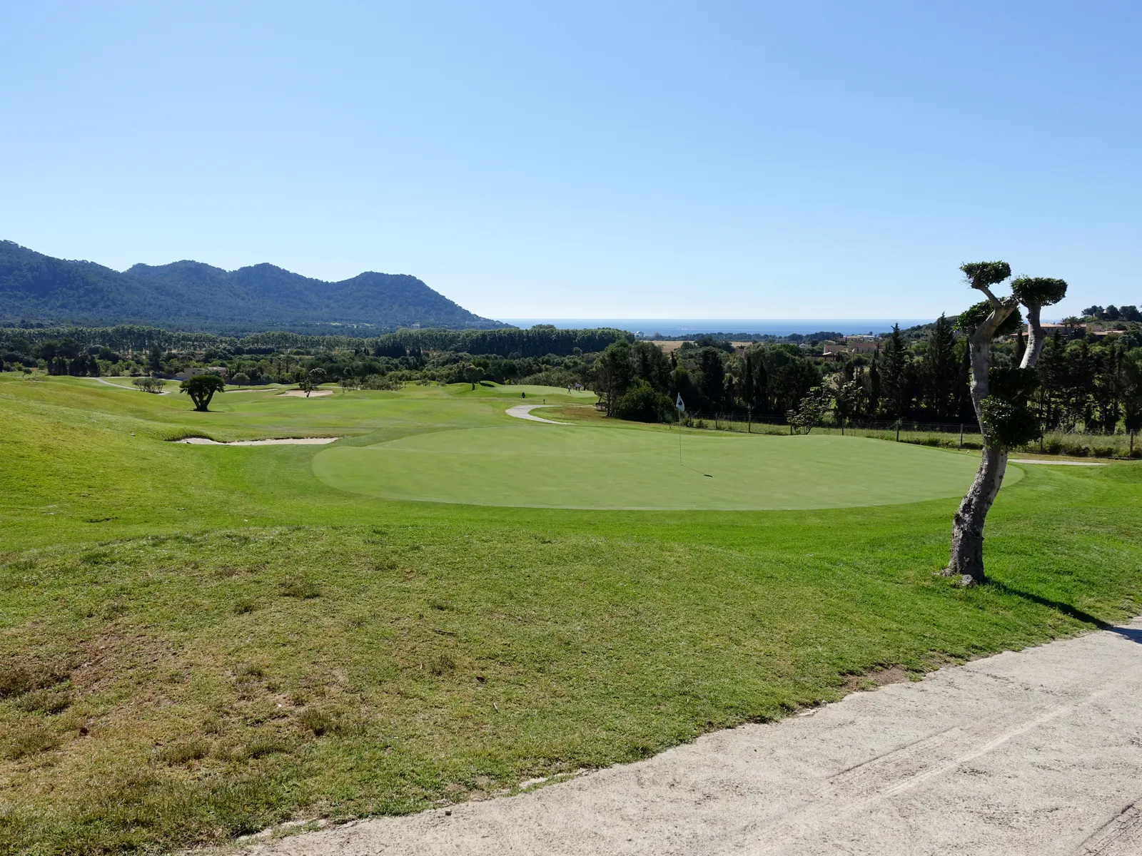Green de Pula Golf, en Son Servera, con un pino solitario en primer plano y la sierra y una franja de mar al fondo.