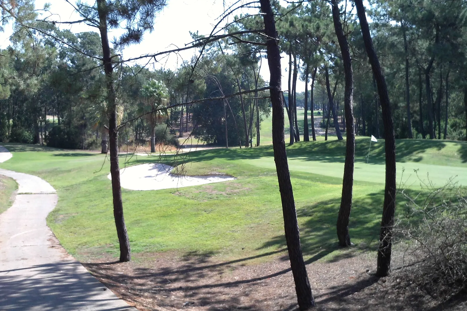Imagen ilustrativa de otro campo de golf: una calle entre pinos con un búnker junto al green. No es Golf Son Parc.