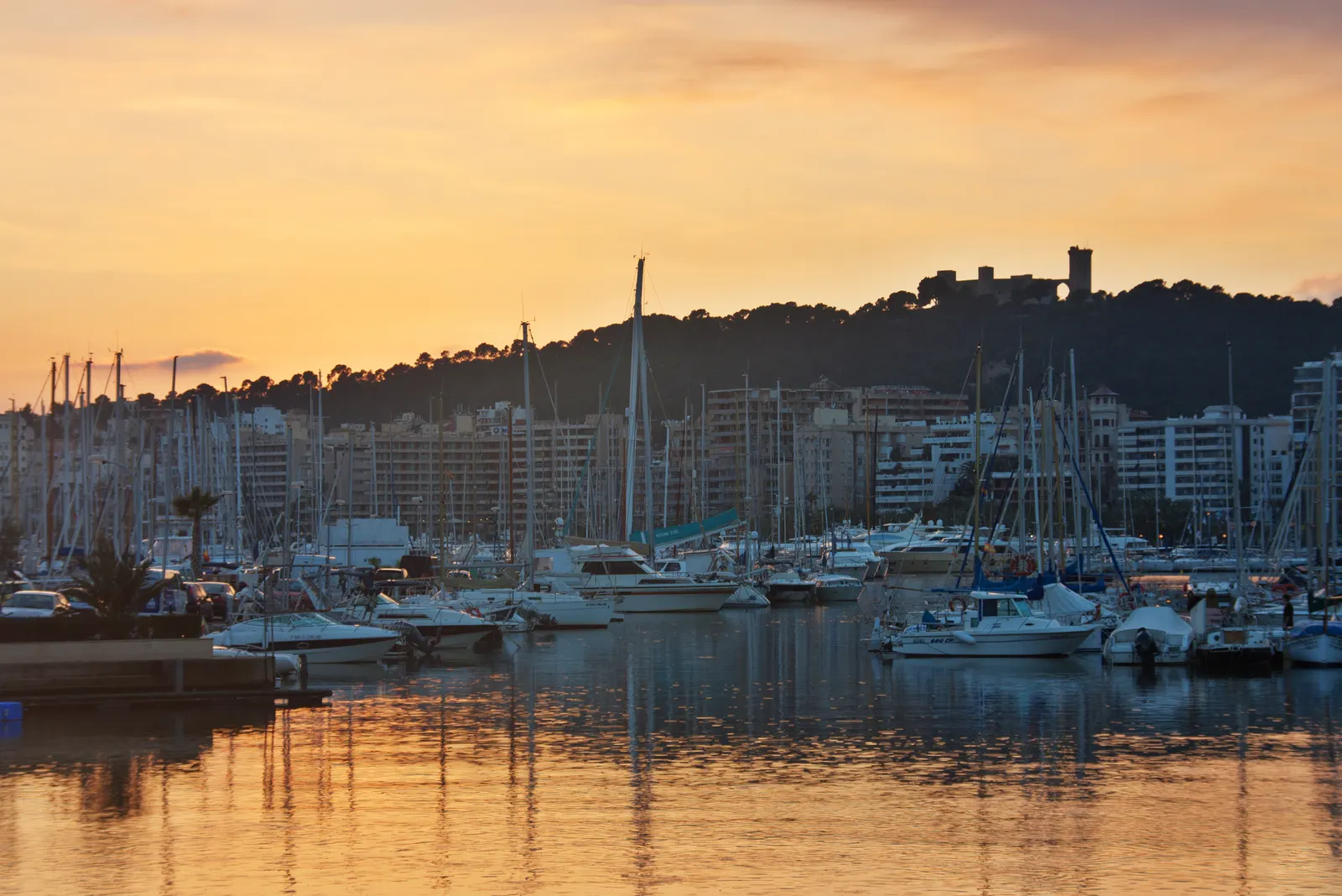 Veleros amarrados en el puerto de Palma al atardecer, con el castillo de Bellver sobre la colina de pinos.