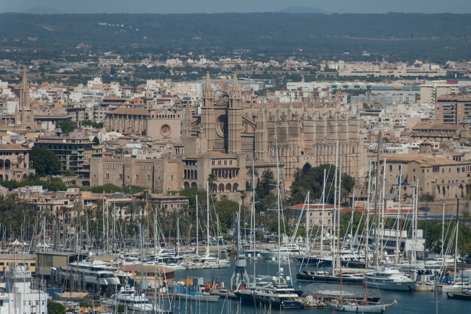 Mástiles de los veleros amarrados en el puerto de Palma y, detrás, la catedral y el palacio de la Almudaina sobre la ciudad.