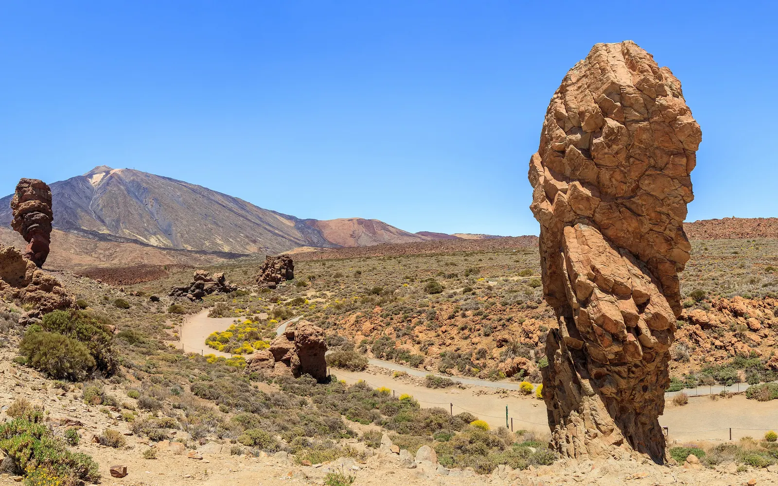 El Teide se alza al fondo, tras el Roque Cinchado y los Roques de García, sobre el llano volcánico de Las Cañadas con retama en flor.
