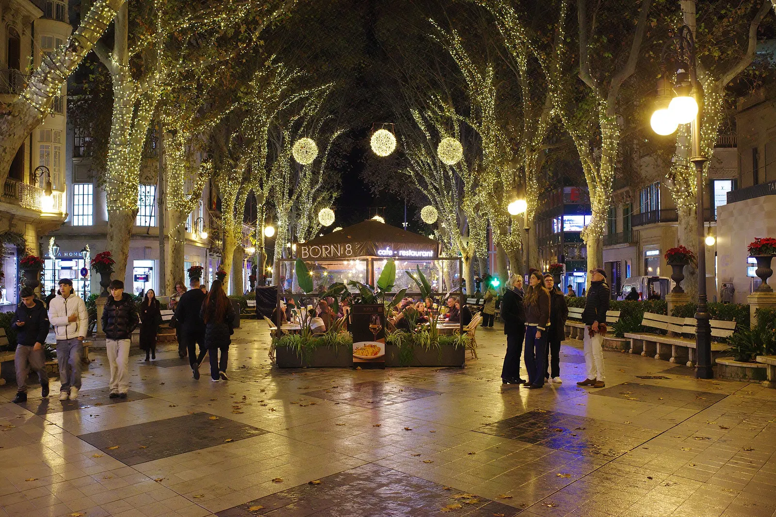 Il Passeig del Born di Palma di notte, con gli alberi ricoperti di luci natalizie e passanti