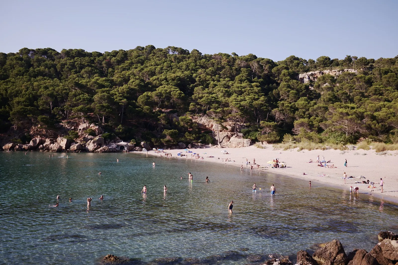 Cala Algaiarens, con la pineta che scende fino alla sabbia e bagnanti nell'acqua turchese