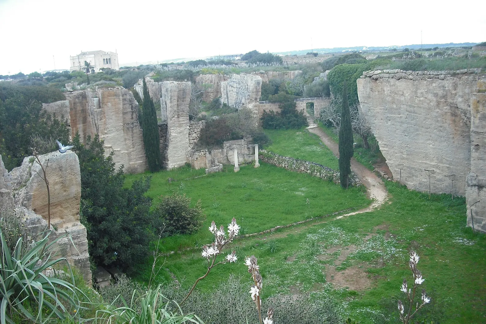Il fondo di un'antica cava di marès di s'Hostal trasformata in giardino, tra pareti di pietra tagliata