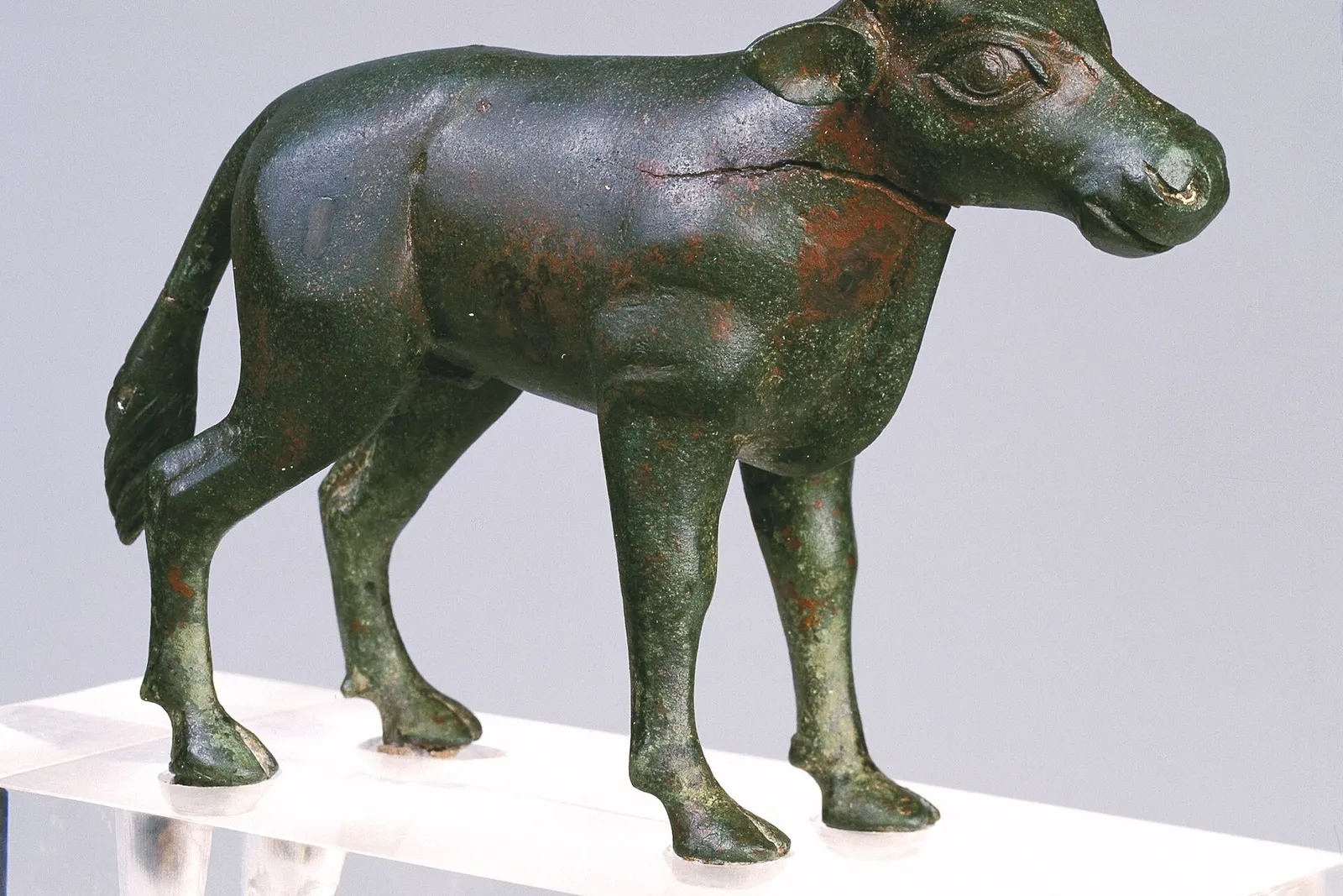 Il Brauet de Torralba, una piccola figura di toro in bronzo talaiotica del Museu de Menorca