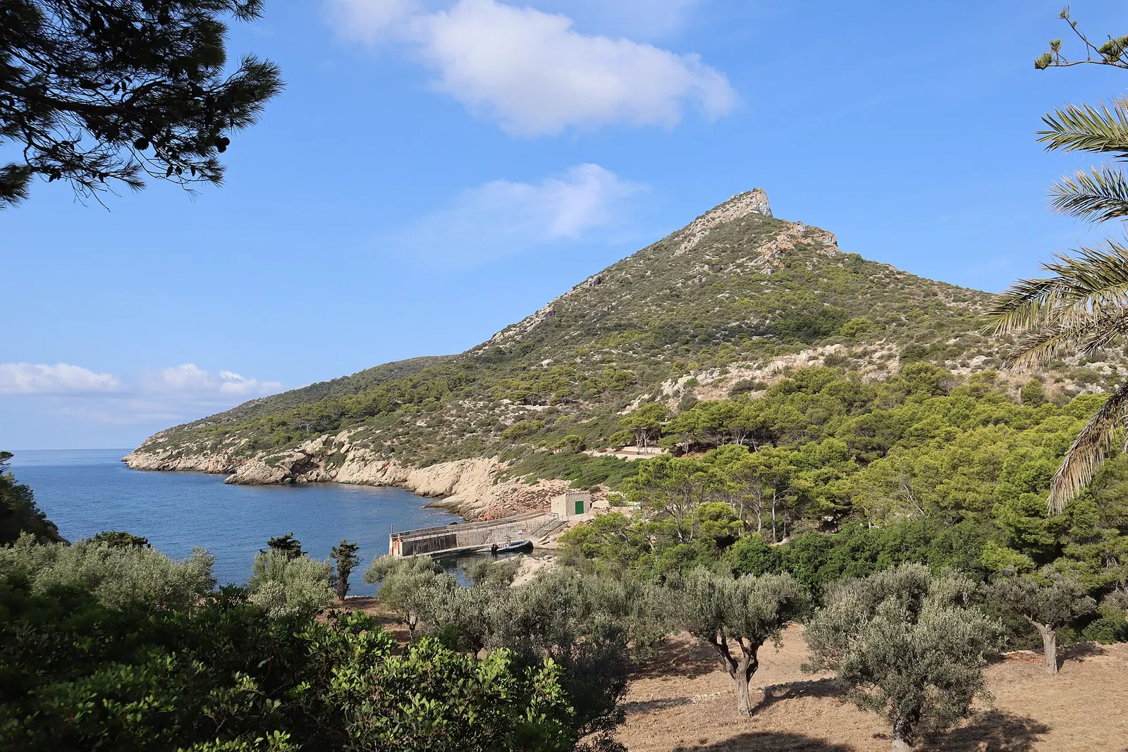 La cresta rocciosa di Sa Dragonera sul mare, con il sentiero del parco naturale tra la vegetazione