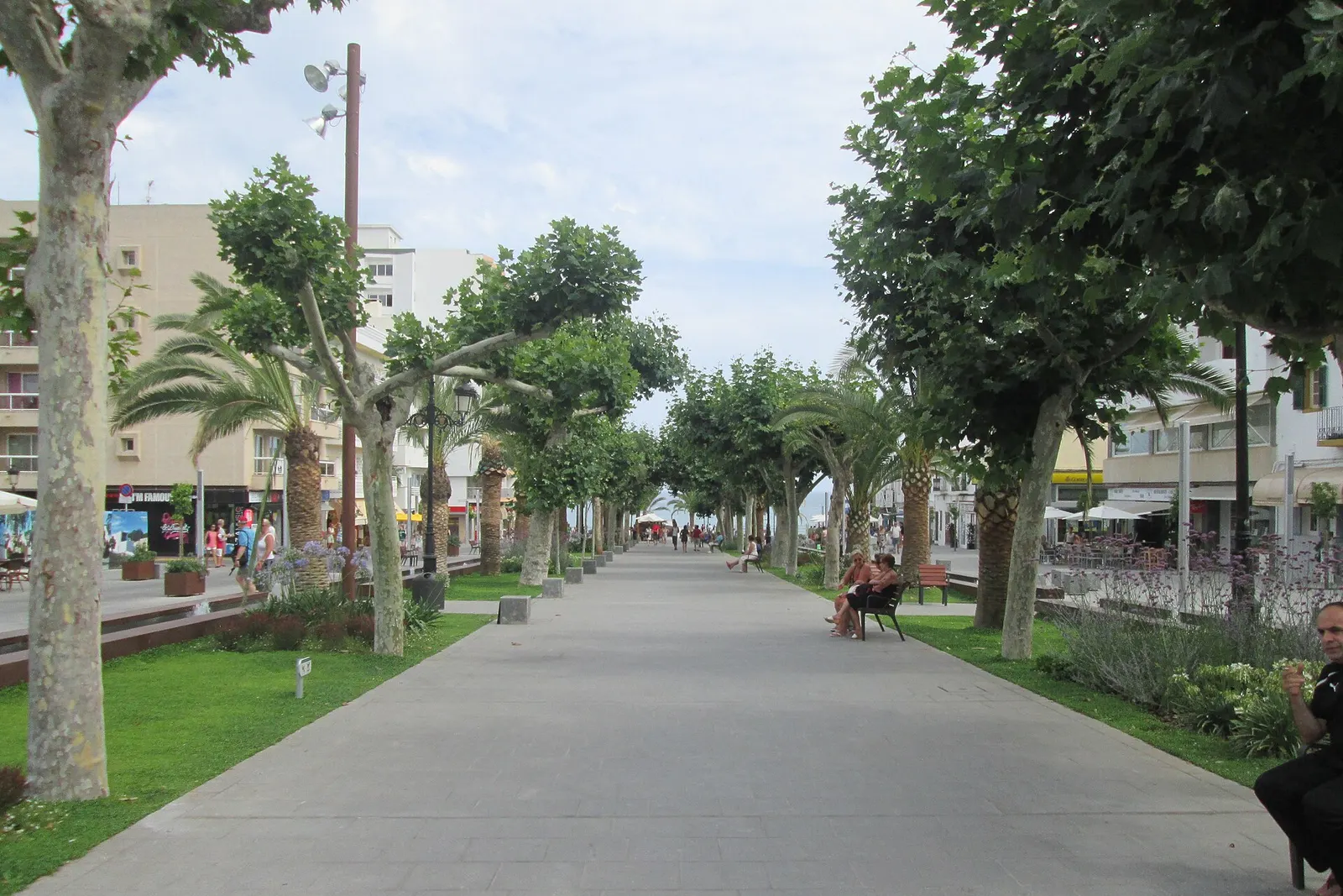 El paseo de s'Alamera de Santa Eulària des Riu, con su hilera de árboles y palmeras
