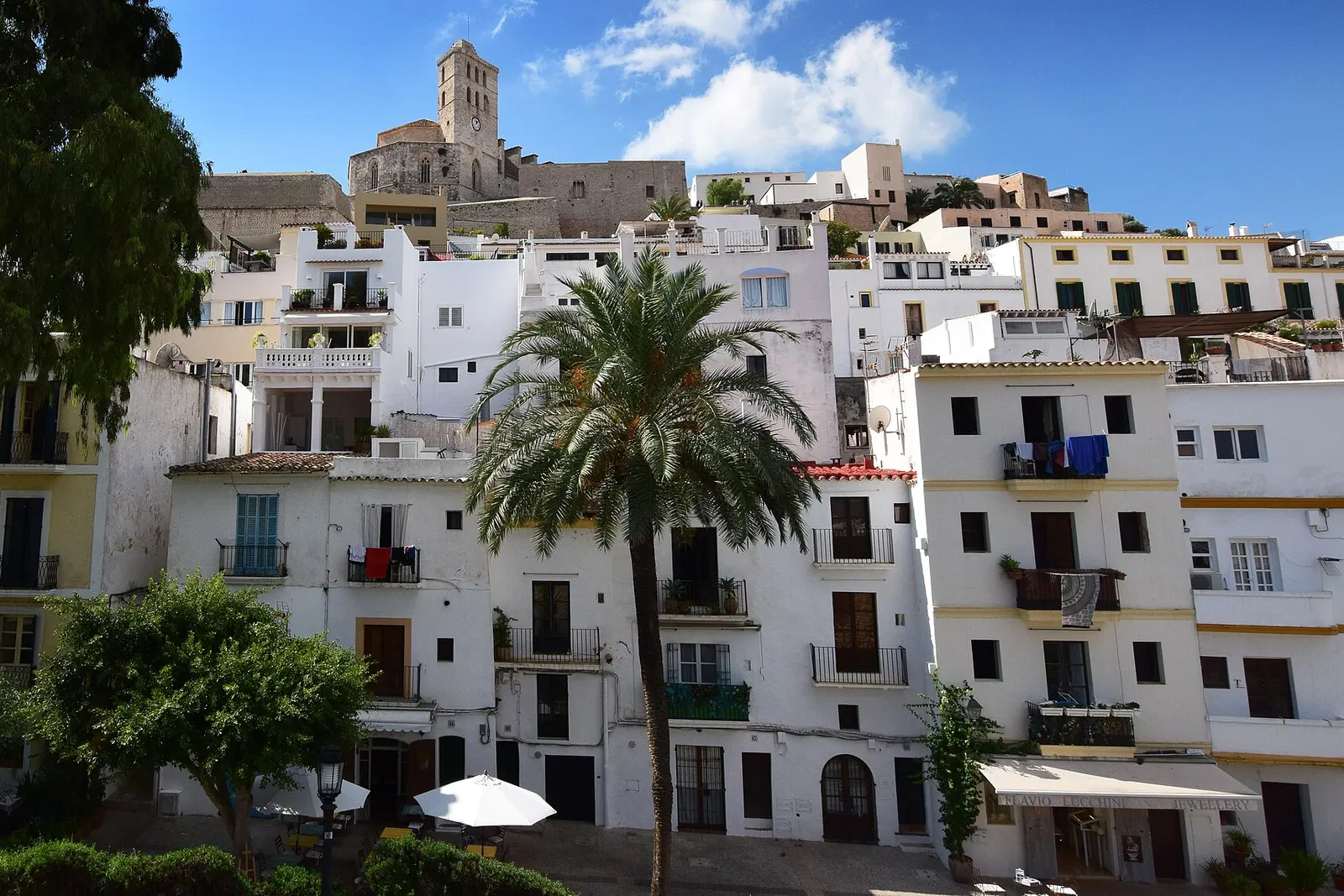 Casas blancas de la ciudad de Ibiza con una palmera y la catedral de Dalt Vila arriba