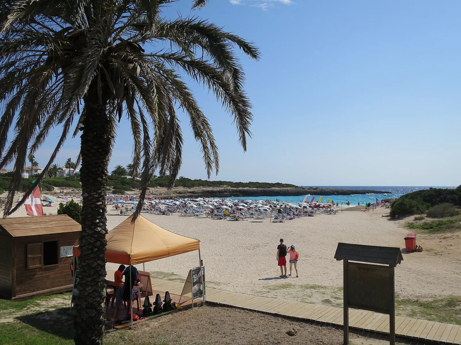 La playa de Cala en Bosc con las palmeras y las sombrillas