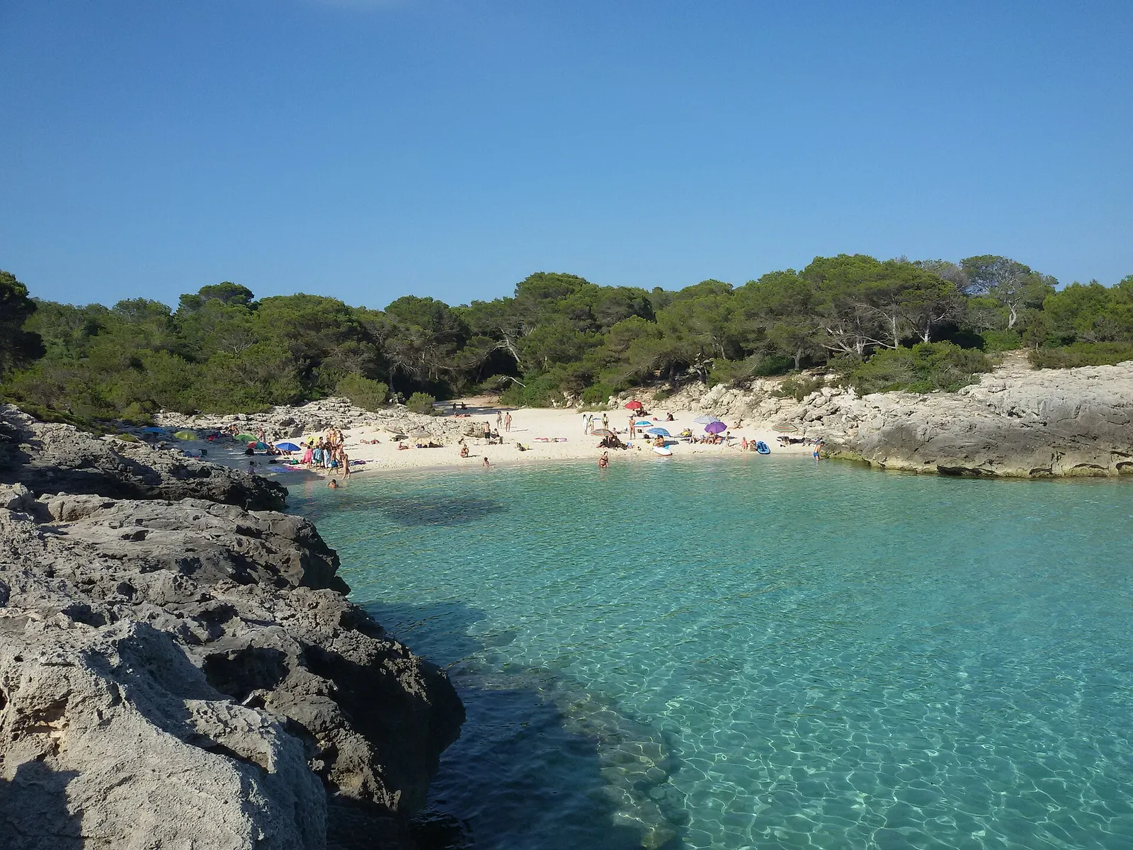 Cala des Talaier con la arena clara, el agua transparente y los pinos hasta la orilla