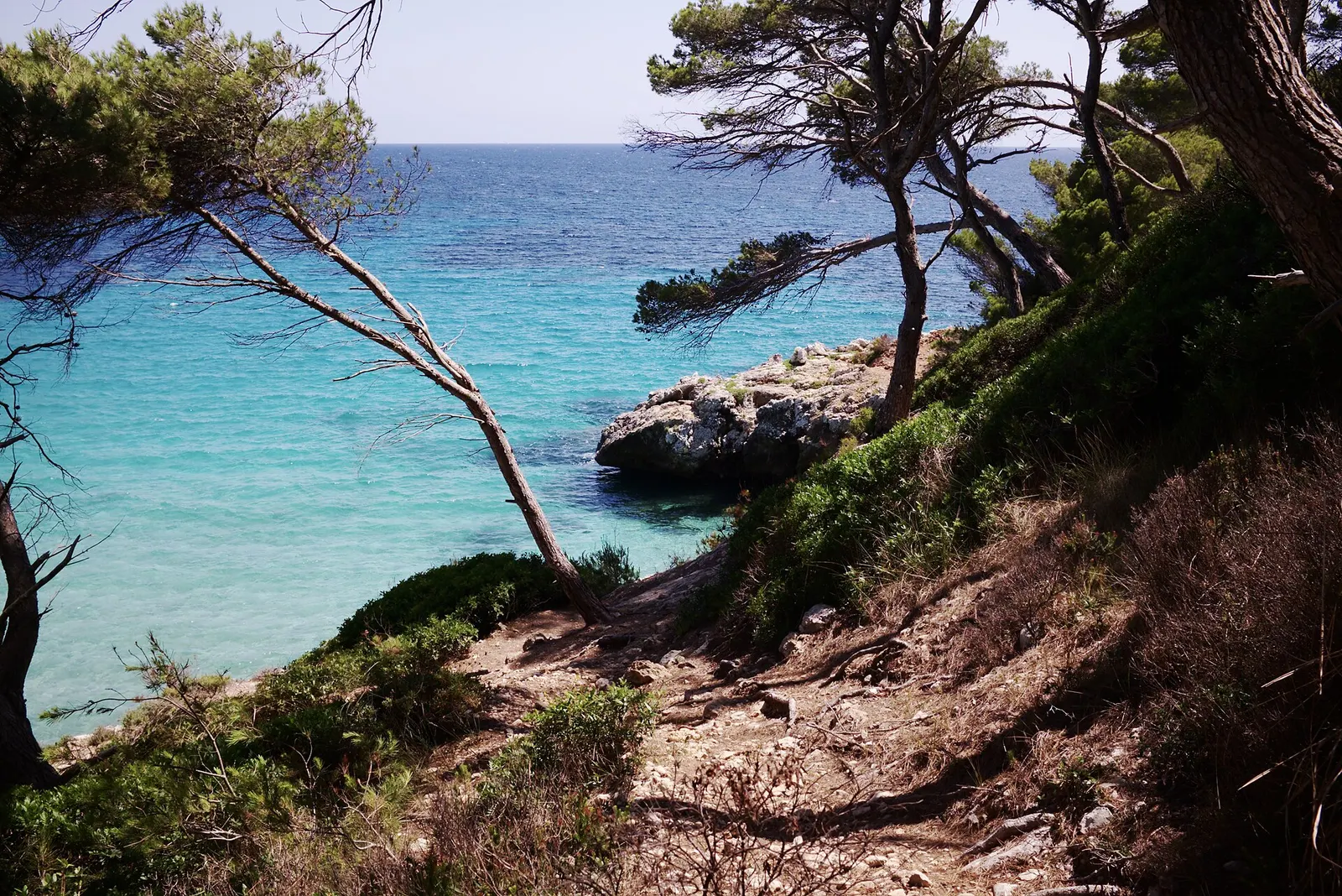 El agua turquesa de Cala Trebalúger con los pinos inclinados sobre la roca