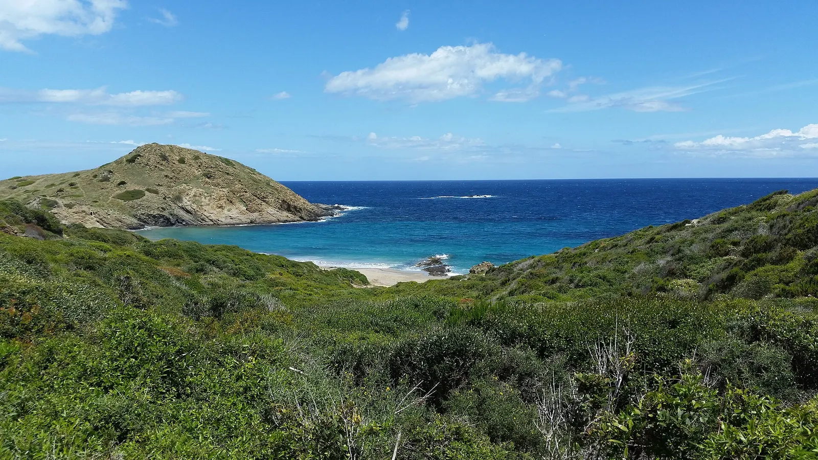 La cala de Sa Mesquida vista entre el monte bajo, con el mar abierto detrás