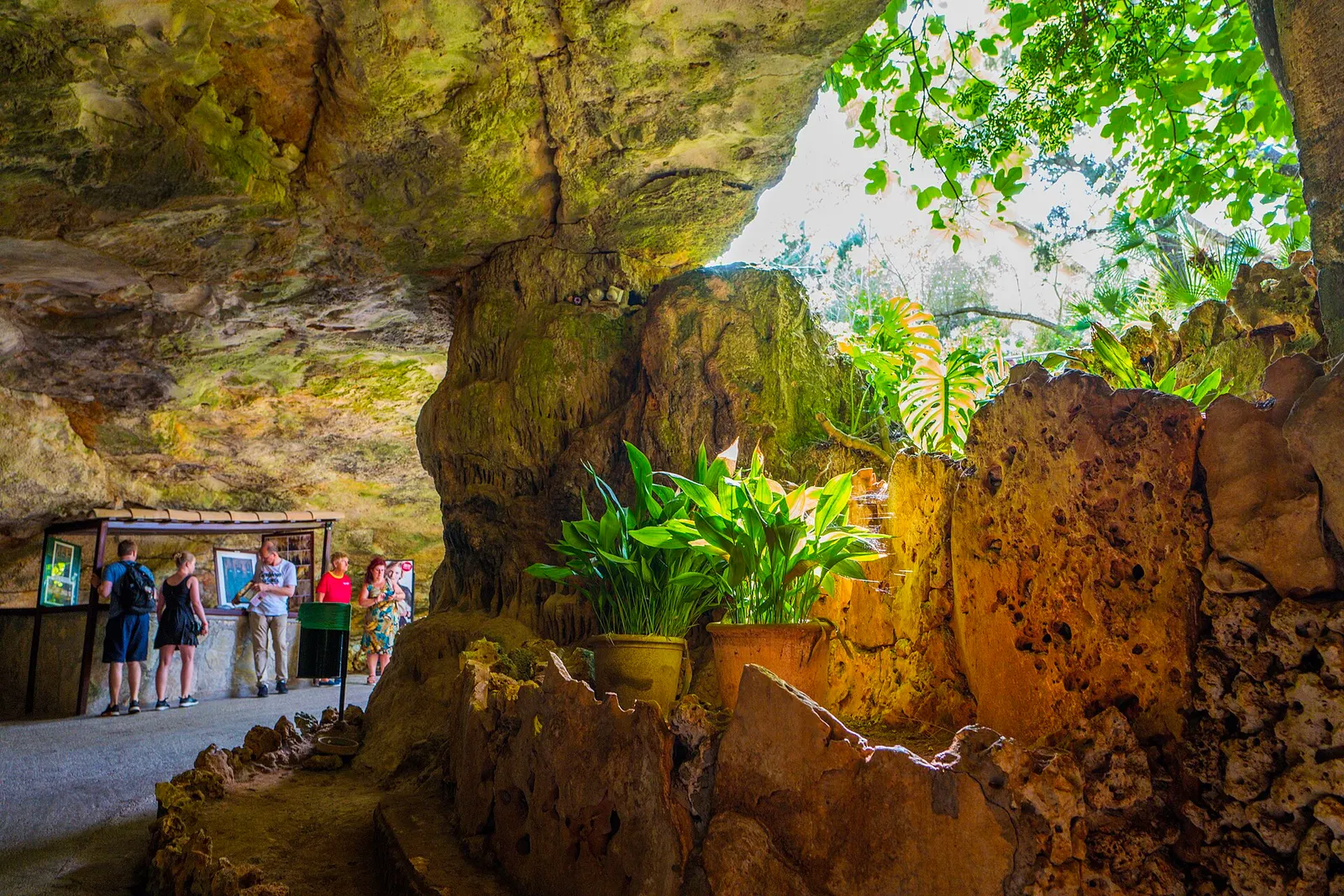 La entrada a las Cuevas del Drach, con las formaciones de roca iluminadas y visitantes al fondo