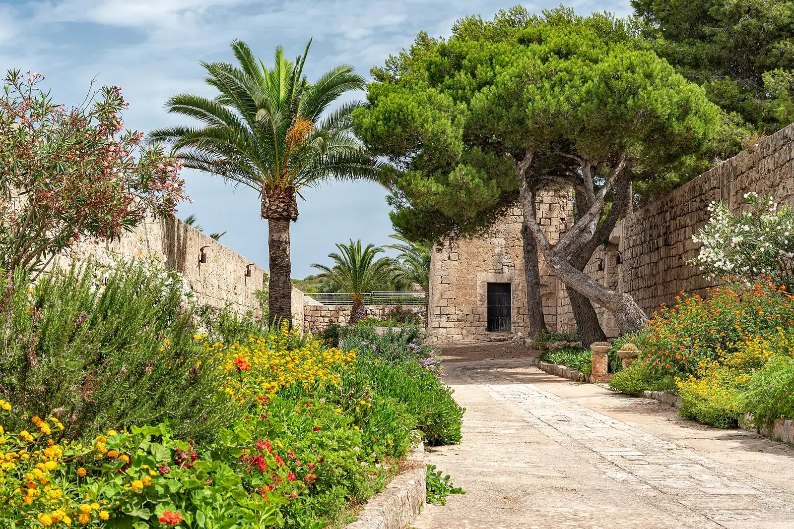 O jardim interior do Llatzeret de Maó, com uma palmeira e os muros de pedra