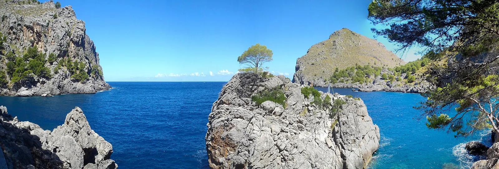 Un peñón con un pino sobre el mar en la costa de Sa Calobra, con los acantilados al fondo