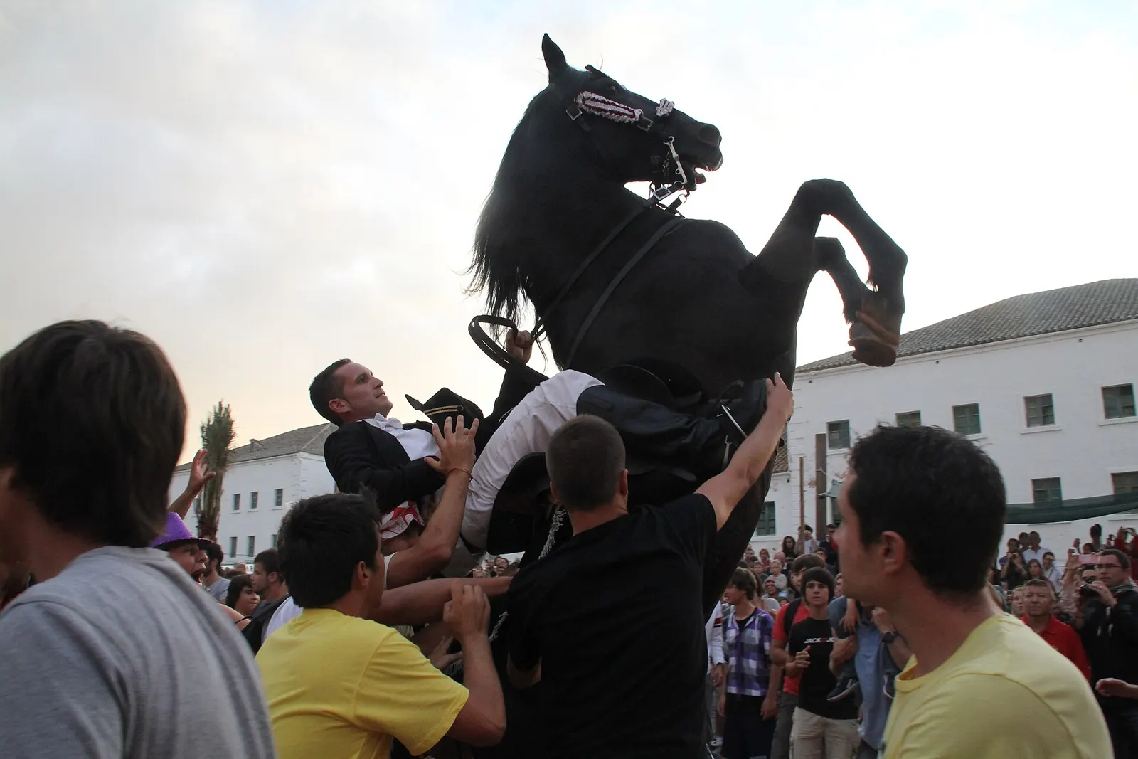 Un caballo negro de pura raza menorquina, montado, en el jaleo de una fiesta de pueblo