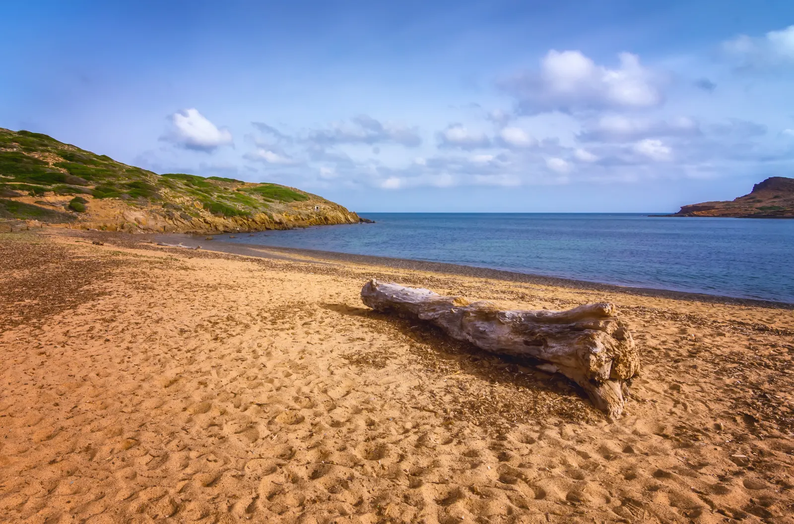 Playa de arena dorada y aguas tranquilas en la costa norte de Menorca, con colinas verdes bajas y un tronco varado en la arena.
