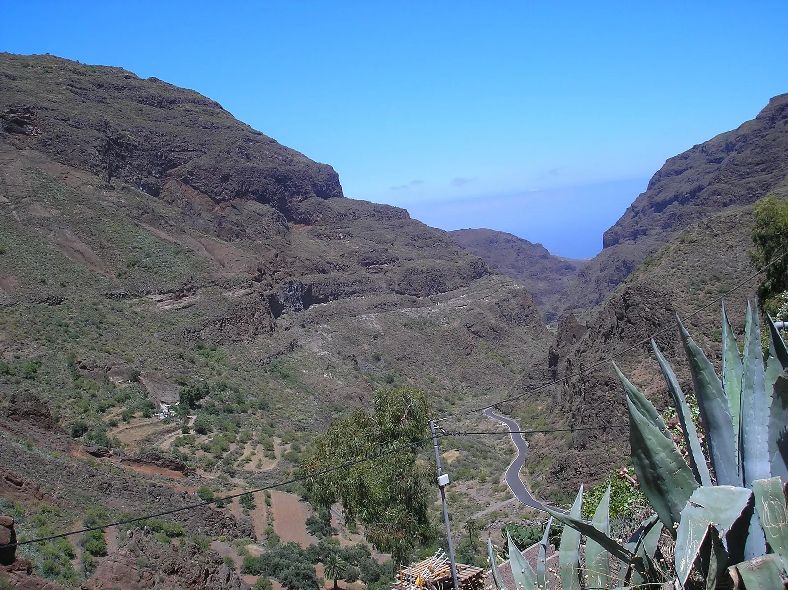 Die Schlucht von Guayadeque öffnet sich zwischen steilen Hängen zum Meer, unten schlängelt sich die Straße, vorne eine Agave.