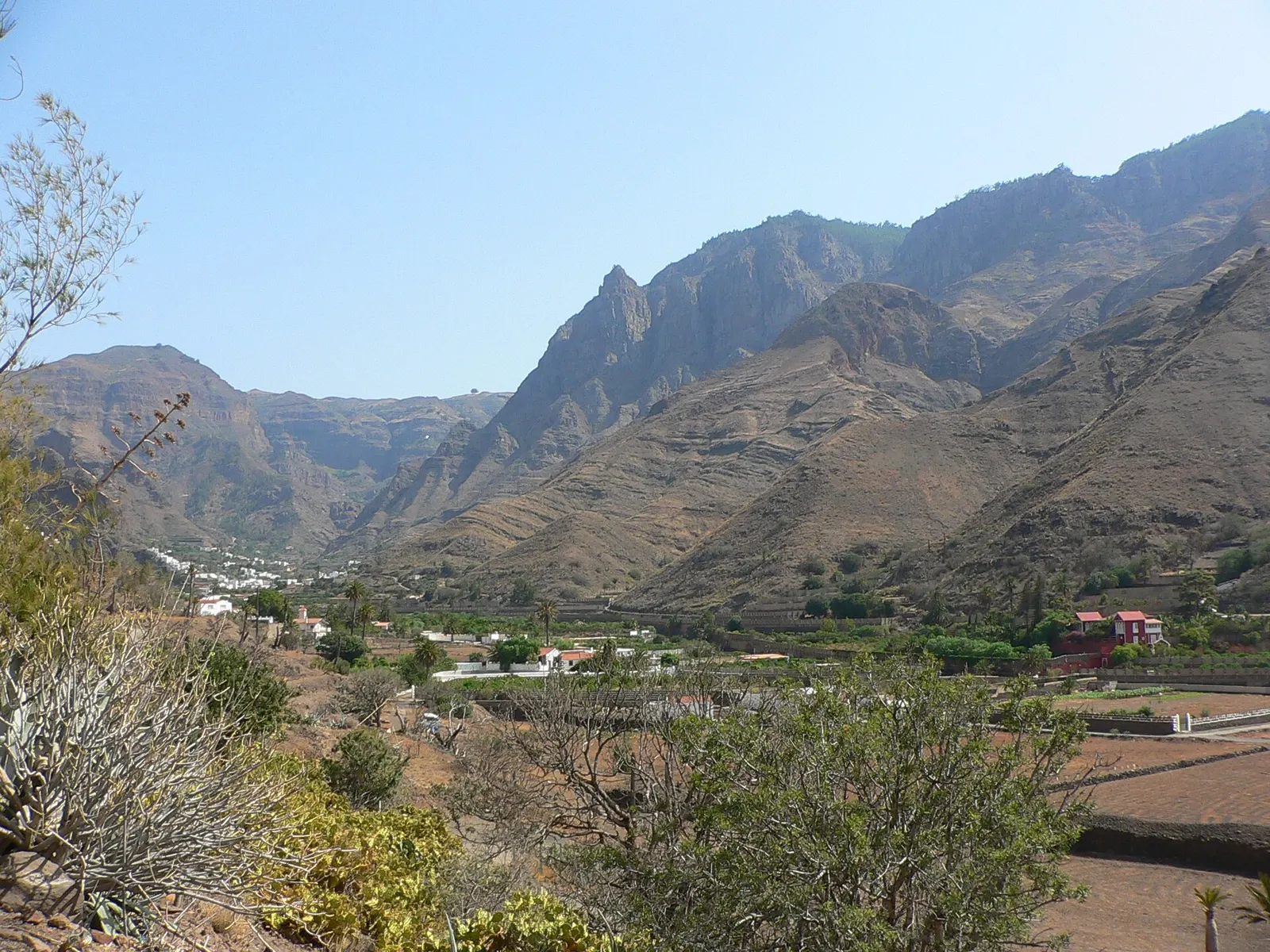 El valle de Agaete entre montañas escarpadas, con huertas, frutales y casas blancas en el fondo verde.