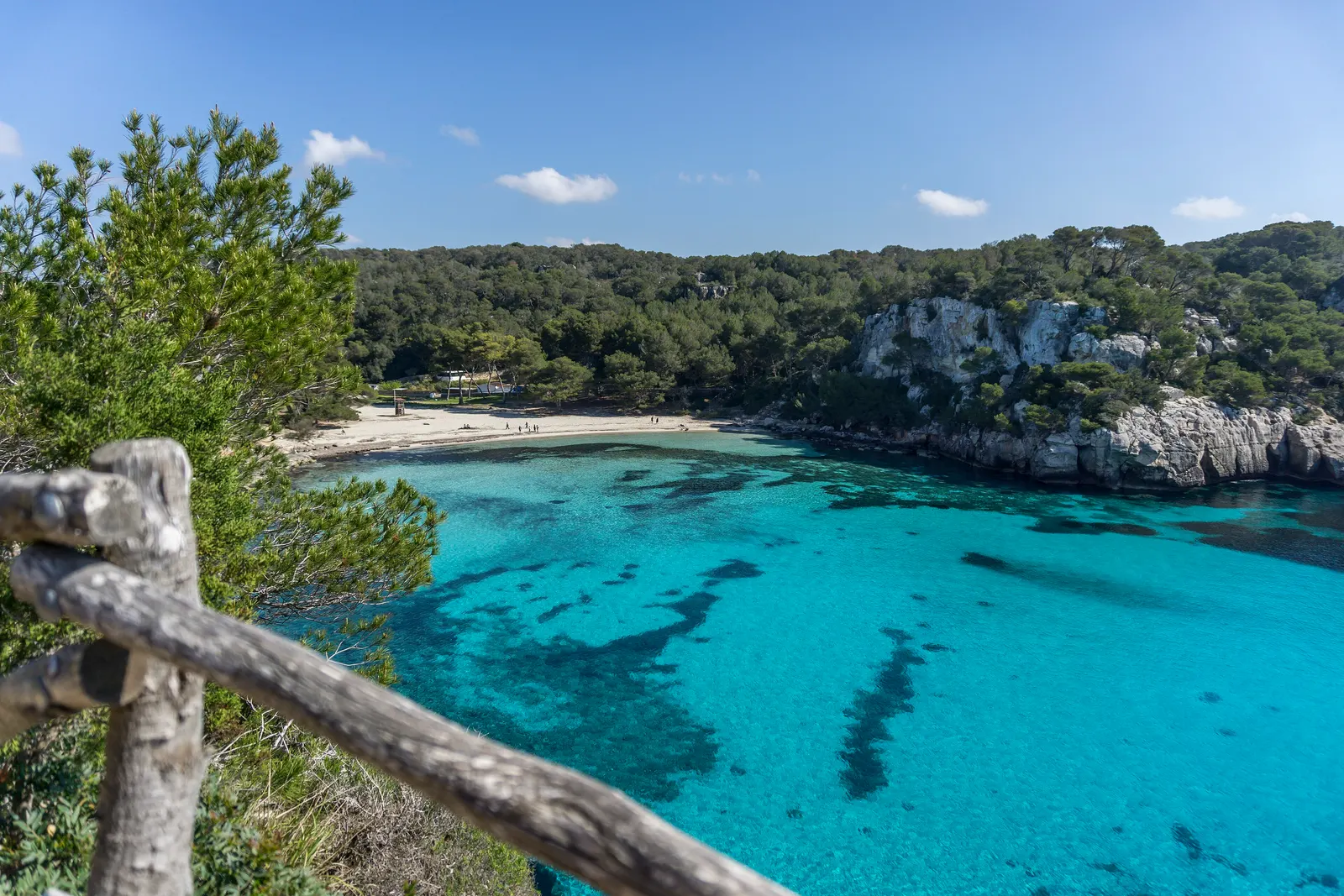 Cala Macarella vista entre pinos, con la arena y el agua turquesa completamente vacías.