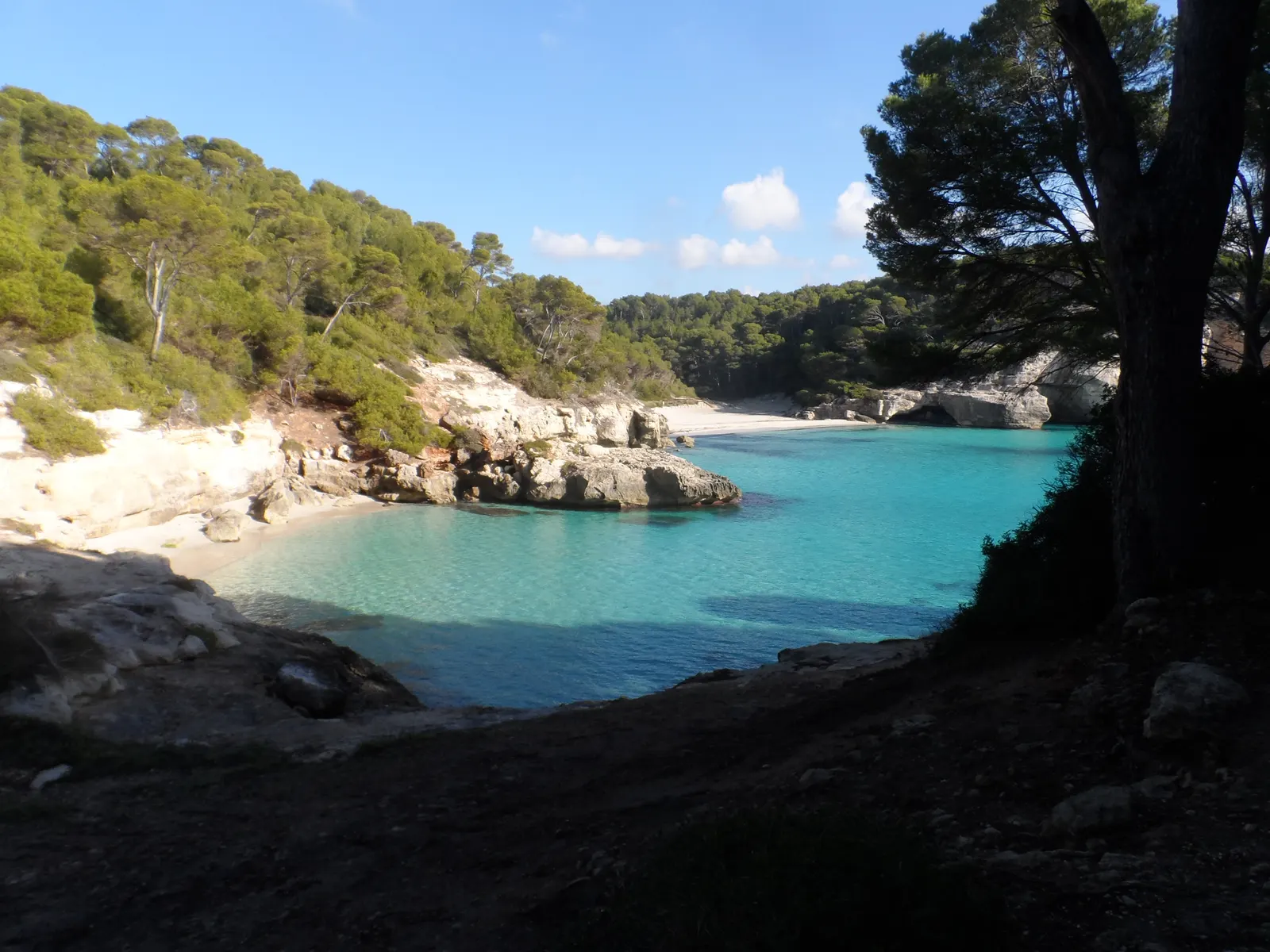 Cala Mitjana en invierno, con la playa vacía enmarcada por los pinos de la costa.