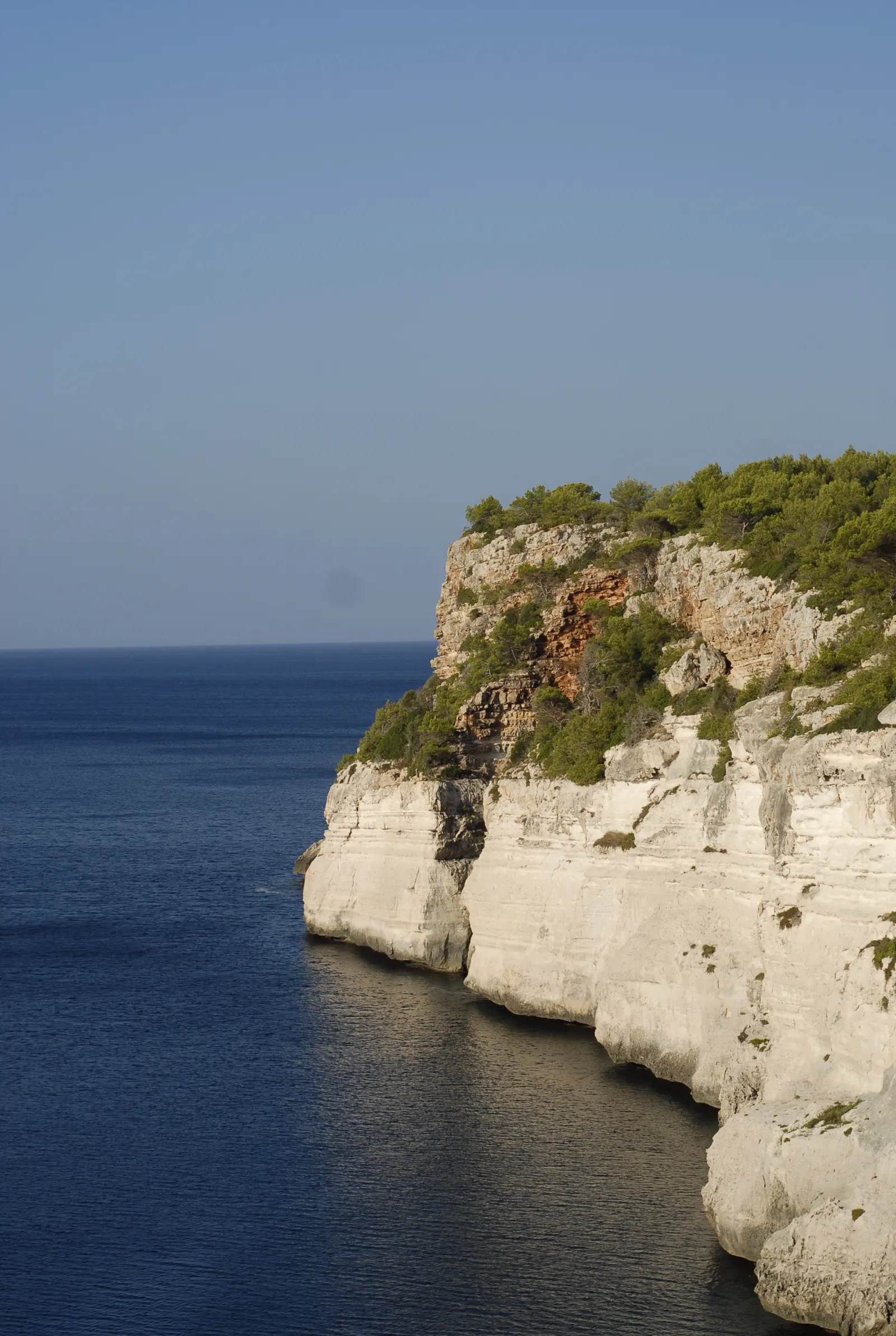 Los acantilados blancos de la costa sur de Alaior, con pinos hasta el borde de la roca.