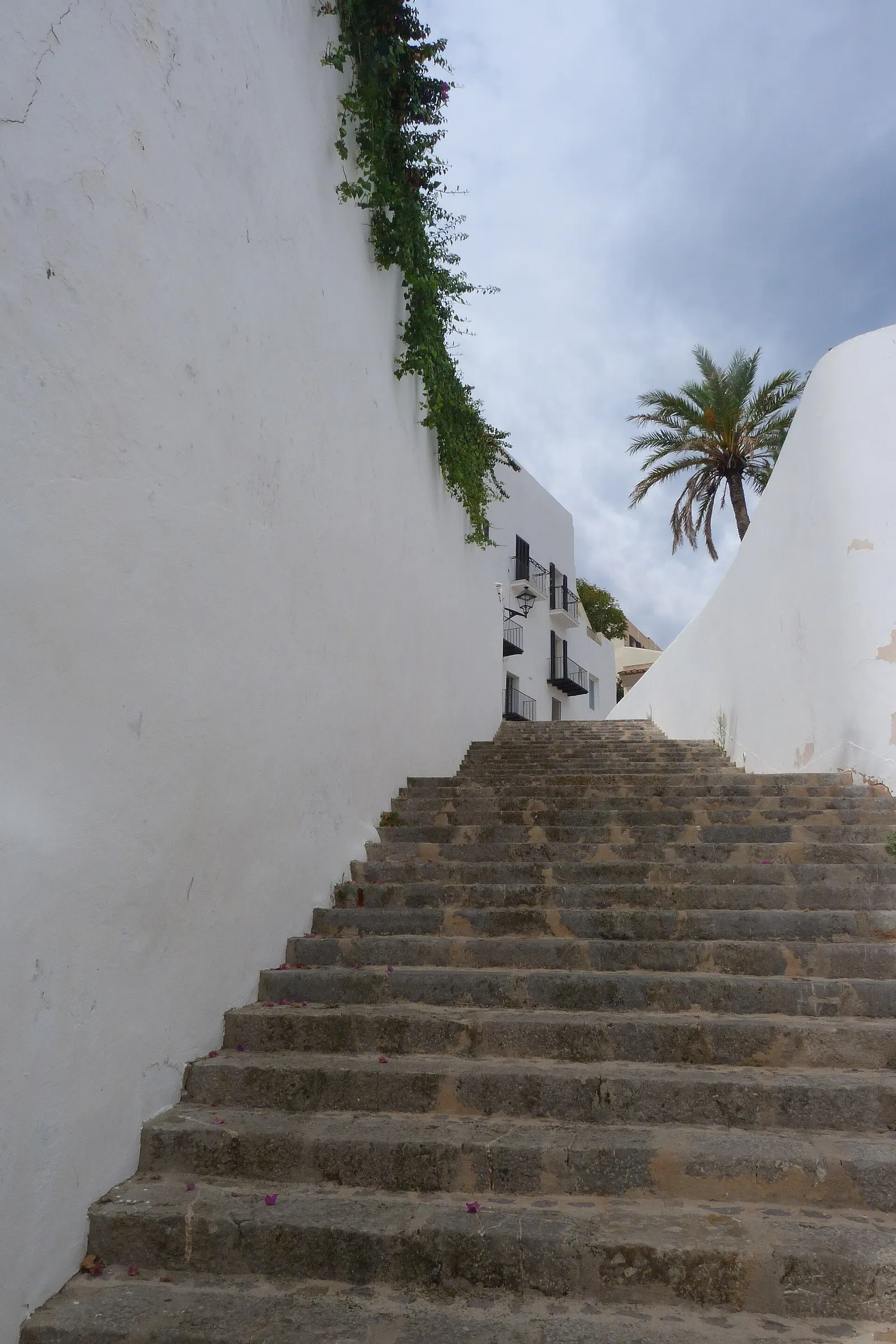 Una escalinata de piedra entre muros encalados de Dalt Vila, con hiedra colgando y una palmera contra el cielo