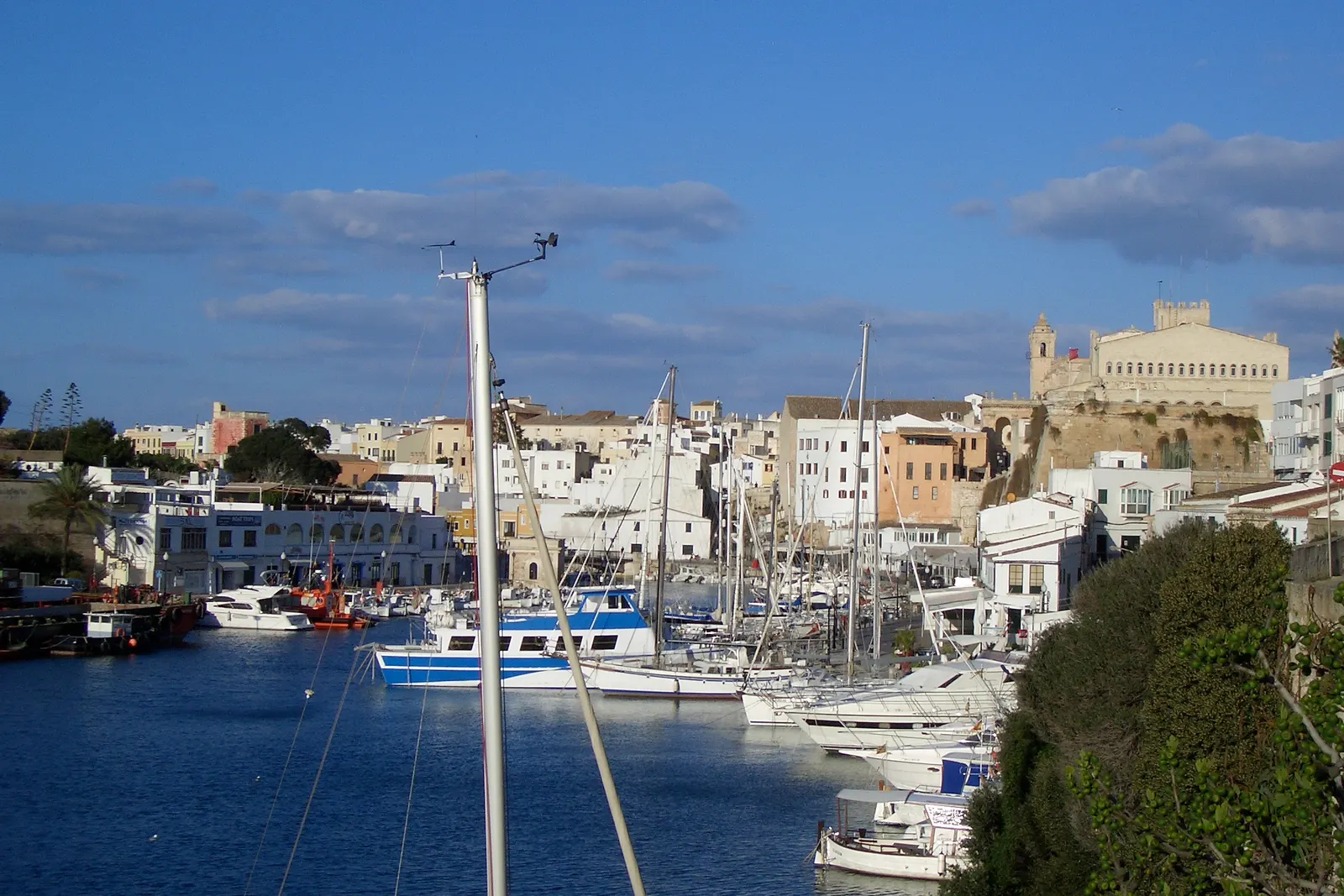 El puerto de Ciutadella, con las barcas amarradas y la catedral asomando sobre el caserío del casco antiguo.