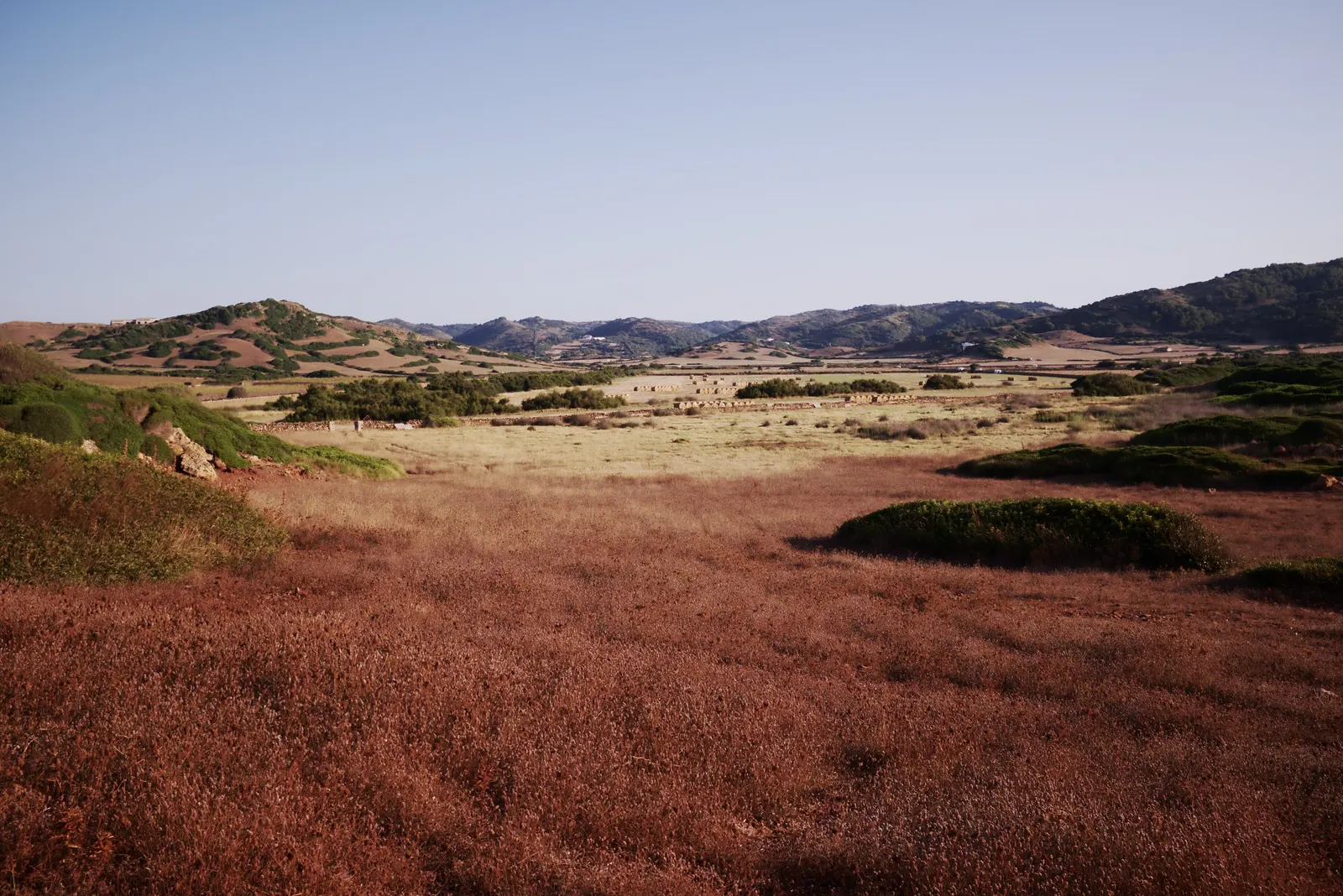 Campo del interior de Menorca con prados rojizos y matorral, entre colinas suaves al atardecer