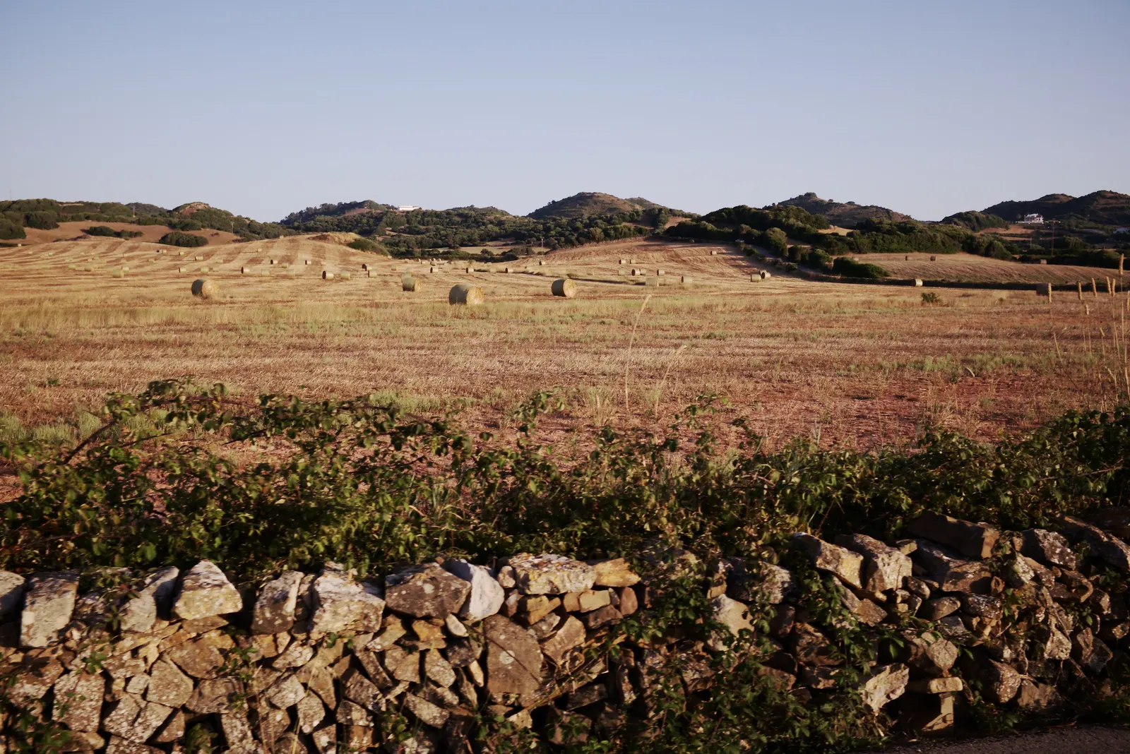 El campo de Ciutadella, con una pared de piedra seca y prados secos hasta las colinas del horizonte.