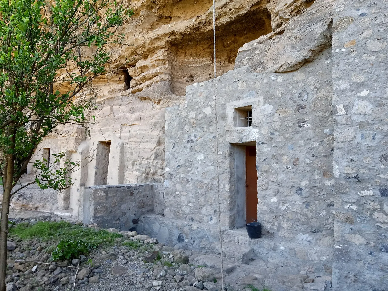 Casas cueva con fachadas de piedra encajadas bajo un farallón de toba dorada, con un árbol joven delante.