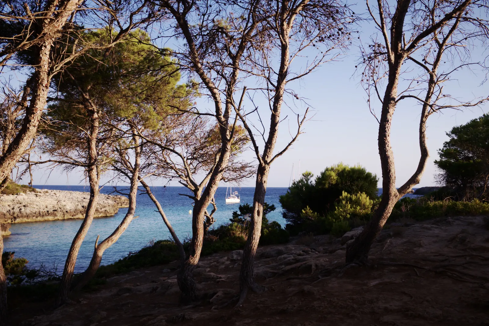 L'insenatura di Es Talaier, sulla costa sud, incorniciata dai pini, con una barca a vela all'ancora nelle sue acque turchesi.