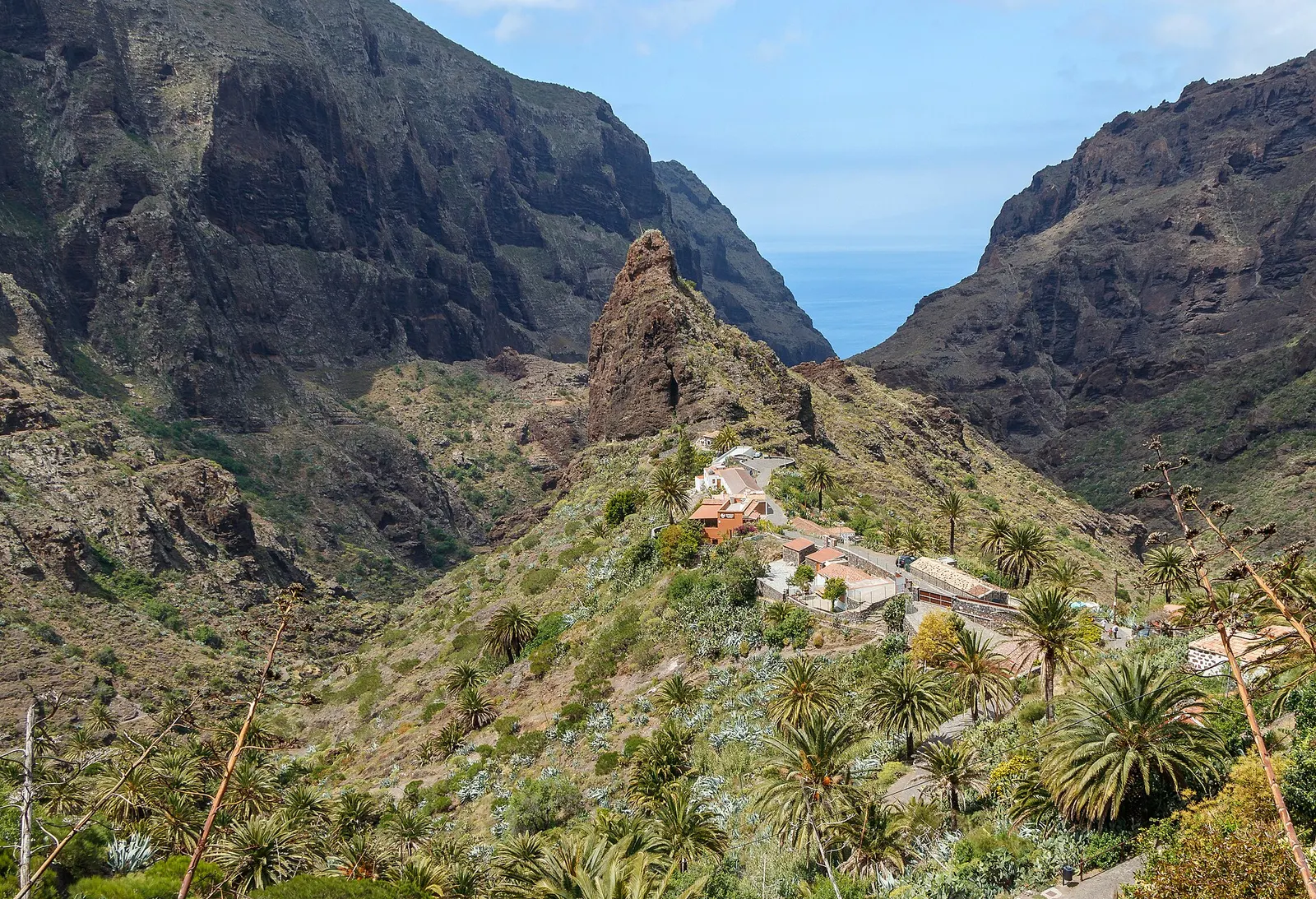 El caserío de Masca entre palmeras, a los pies de un roque y de las paredes del barranco que se abre al mar.