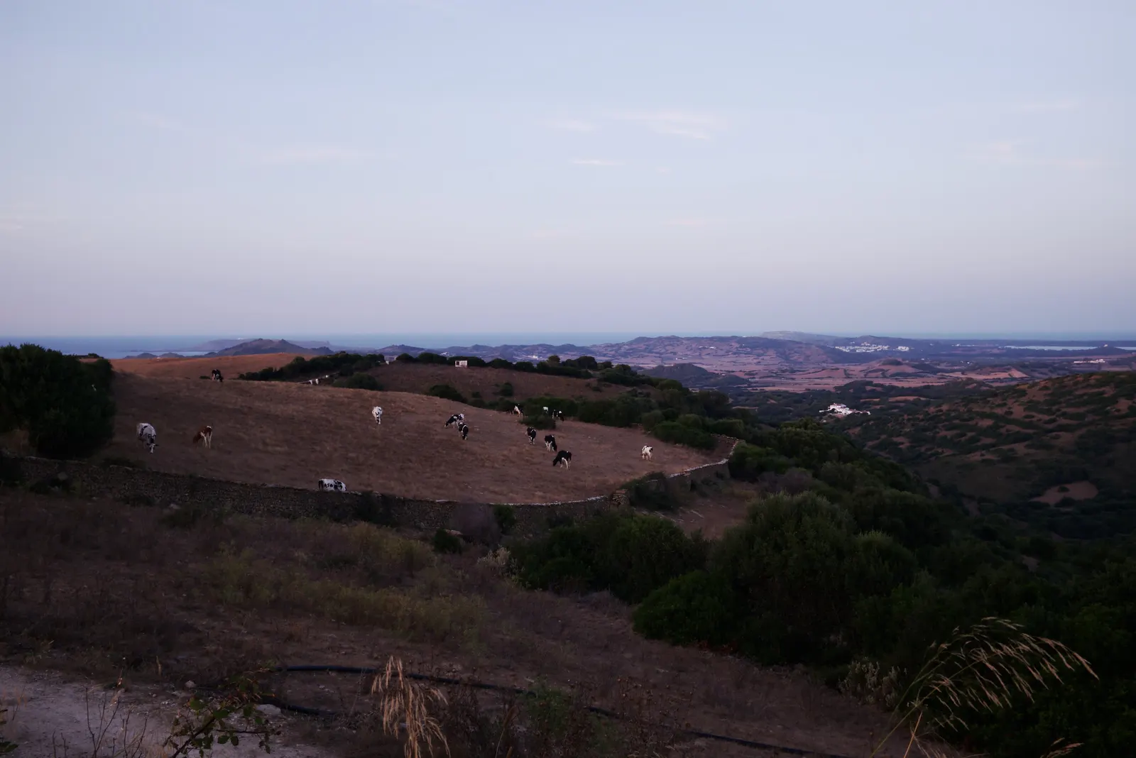 Vista del campo del interior de Menorca desde un altozano, con los cultivos ondulando hasta el mar al fondo.