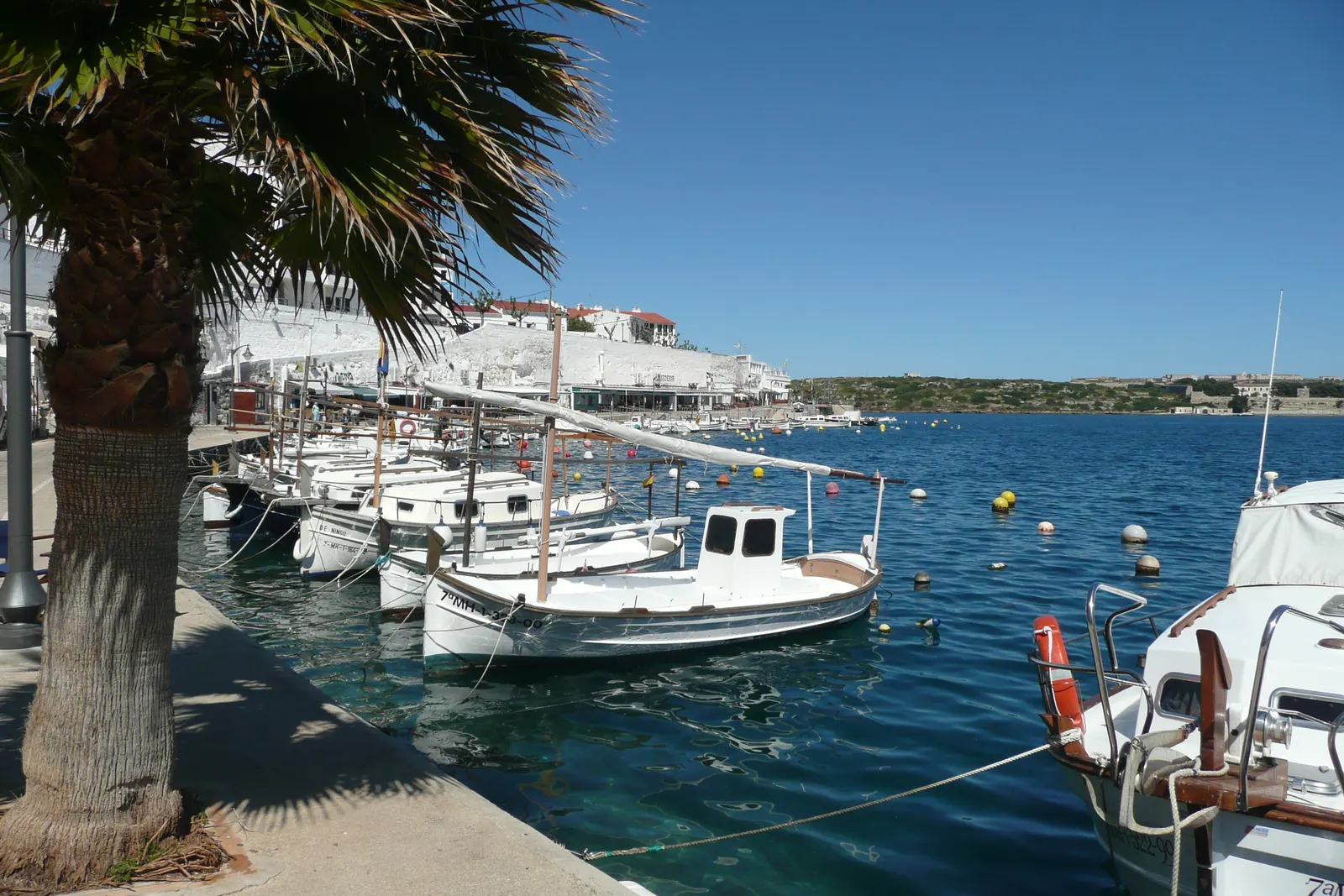 Der Hafen von Cales Fonts in Es Castell: traditionelle Fischerboote am Kai vertäut, dahinter die weißen Häuser des Dorfes, die den Hang hinaufsteigen.