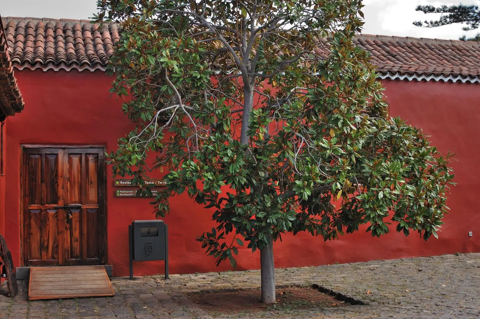 La fachada roja de la Casa del Vino de El Sauzal, con puerta de madera y un árbol en el patio empedrado.