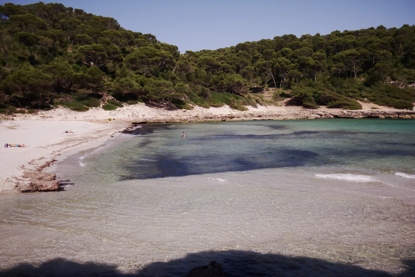 Cala Trebalúger, una cala virgen con pinos hasta la orilla y el agua turquesa en calma.