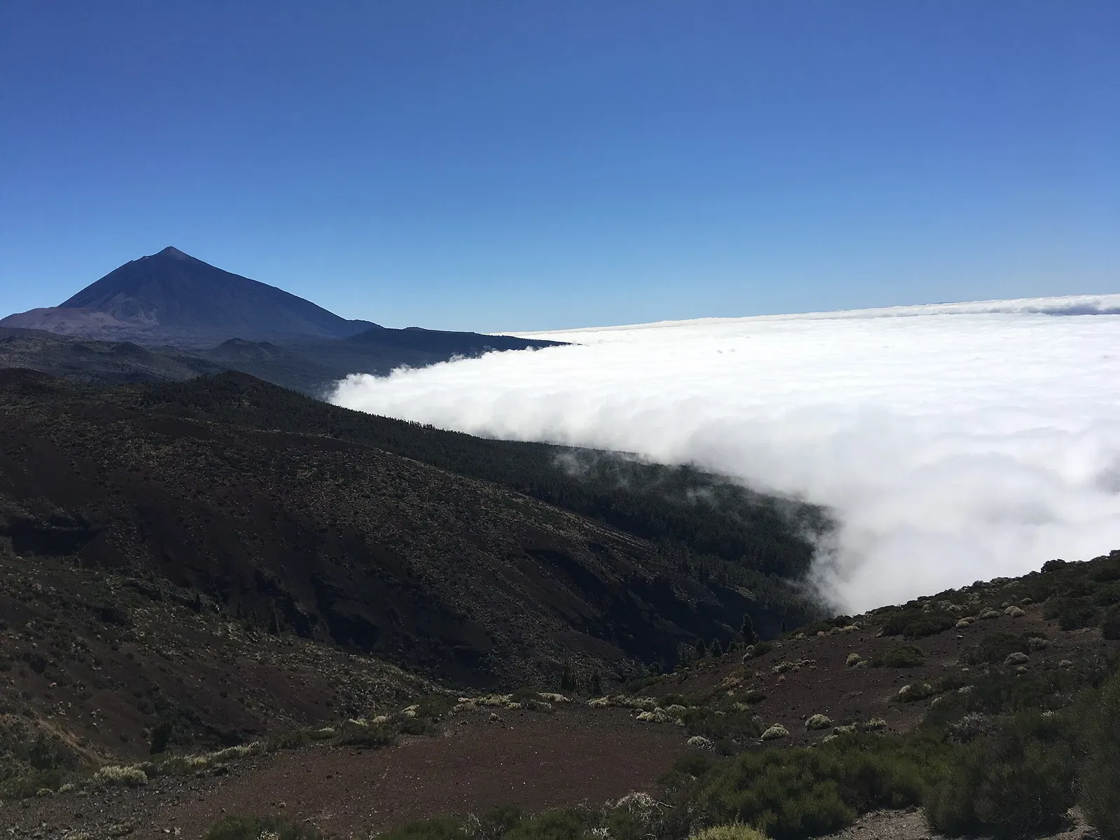 El Teide recortado contra el cielo azul mientras un mar de nubes cubre la vertiente norte.