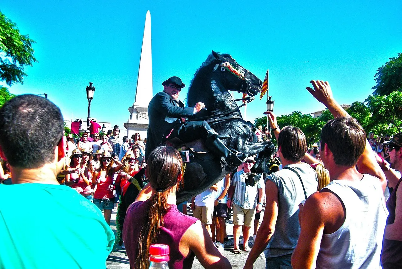 Un caballo menorquín negro encabritado (el bot) entre la multitud durante el jaleo de las fiestas de Ciutadella.