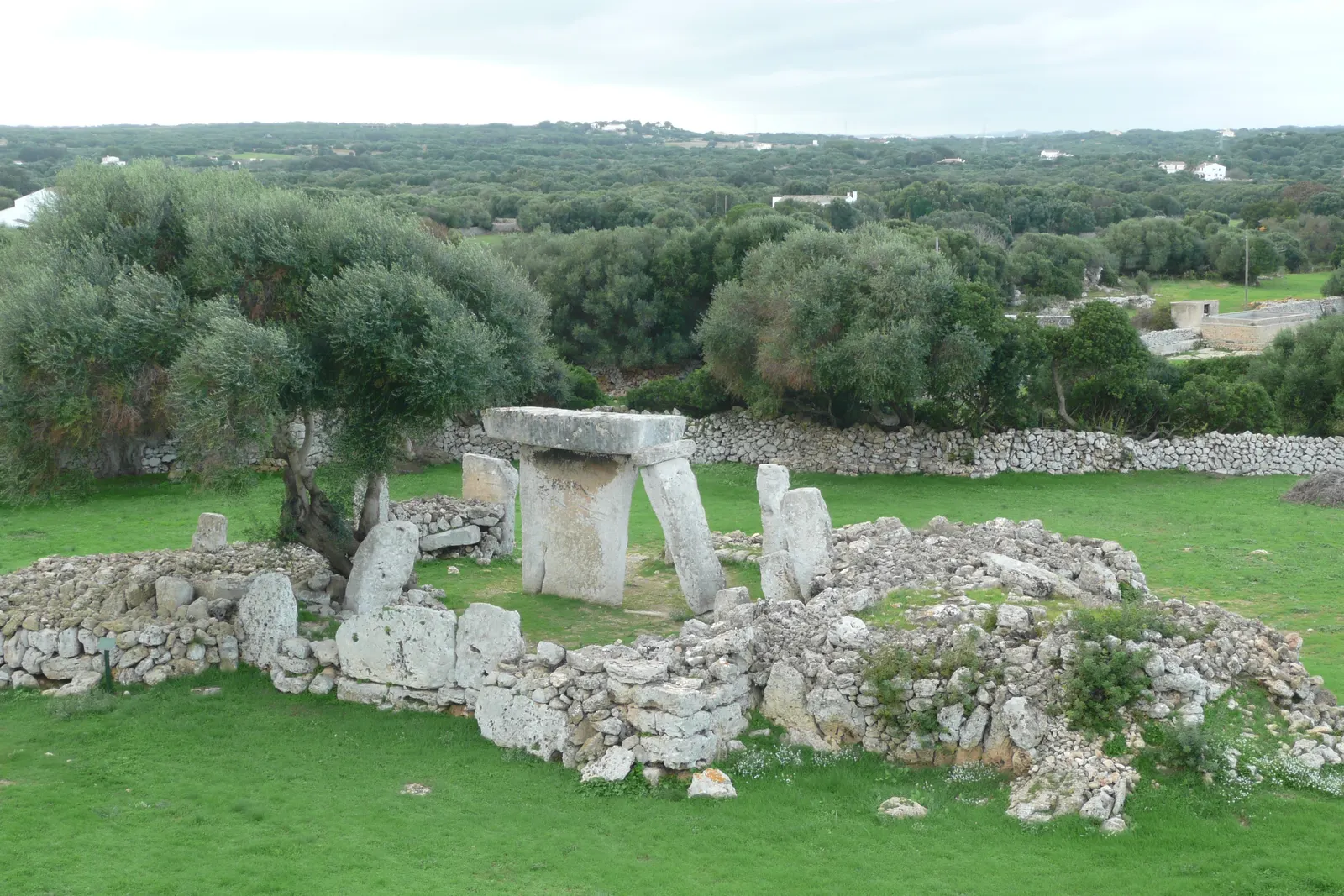 La taula de Talatí de Dalt con su columna caída apoyada, rodeada de olivos, en el poblado talayótico de Menorca.